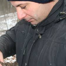 Is pH the most important effect