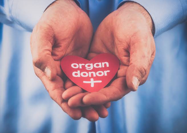 World Organ Donation Day : भारत में हर साल अंग दान के अभाव में मर जाते हैं  5 लाख लोग, जानिए क्या है विश्व अंगदान दिवस का महत्व