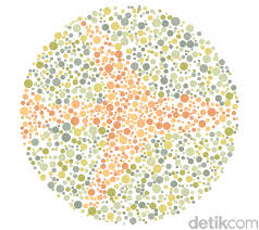 Seperti halnya tes kesehatan polisi, tes kesehatan tni juga ada 2 tahap, yakni tes kesehatan fisik dan tes kesehatan kejiwaan oleh psikiater. Contoh Soal Buta Warna