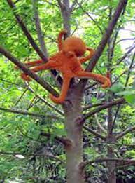 This pacific northwest arboreal octopus article appeared on conservapedia for quite some time, and is certainly the most well known of its parody articles. Scv News Save The Tree Octopus Commentary By Dianne Erskine Hellrigel Scvnews Com