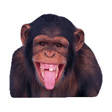 Lihat ide lainnya tentang gambar, gambar bergerak, wallpaper alam yang indah. Laughing Riendo Rindo Gif Find On Gifer