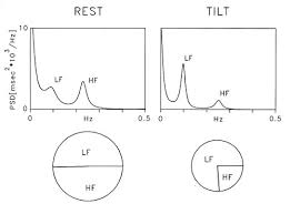 heart rate variability circulation