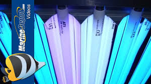 T5ho Fluorescent Proven Lighting For Your Reef Aquarium Youtube