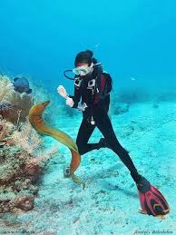 Beautiful Underwater Photo In Dubai With A Moray Eel We Also Find Them All Around Dominican Republi Scuba Diving Quotes Scuba Diving Scuba Diving Photography