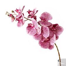密度家居简约仿真花白色蝴蝶兰高品质假花装饰家居客厅长枝绢布花 peppercorn red peppercorn red