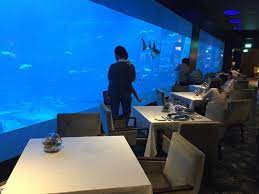 underwater dining at the ocean restaurant by cat cora in singapore updated 2021 ocean restaurant underwater restaurant underwater