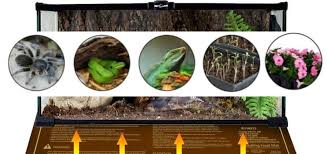 Reptile Heating Pad In 2020 Reptile Heating Pad Pet Heating Pad Reptiles