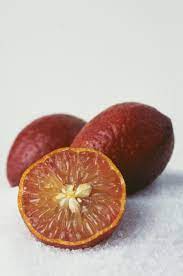 This rare find is thought to be a cross between rangpur and a kumquat. Blood Lime Wikipedia