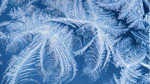 An avenue of frosty trees. Get Frosty Art Microsoft Store