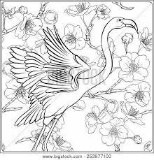 Welcome to our gallery featuring 41 stunning backyard landscaping ideas. Flamingo Fantasy Vector Photo Free Trial Bigstock