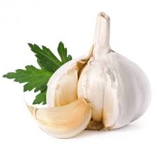 Σκόρδο, το πανάρχαιο θεραπευτικό βότανο - Εναλλακτική Δράση