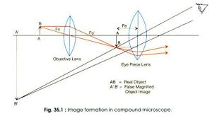 Top 8 Types Of Microscopy With Diagram