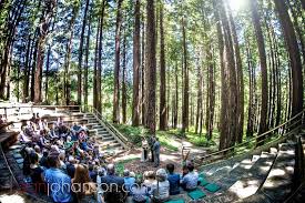 A Beautiful Berkeley Wedding In The Redwood Groves San Francisco Wedding Venue Wedding San Francisco Bay Area Wedding