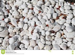 Unser schwerpunkt liegt dabei auf natursteinprodukten für steingärten. Weisse Steine Im Garten Stockfoto Bild Von Weisse Garten 78176592