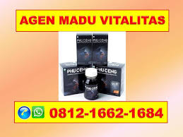 Pin Di Hp Wa 0812 1662 1684 Mengobati Impoten Dengan Madu