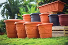 When you create a garden, it should stimulate all five of your senses. Flower Pot Eco Friendly Biodegradable Baba Gardening