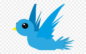 Search more high quality free transparent png images on pngkey.com and share it with your friends. 700 Gambar Burung Png Paling Keren Gambar Id