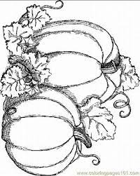 Pumpkin patch coloring pages] 17. Pumpkin Patch Coloring Pages Coloring Pages Pumpkin 2lrg Food Fruits Pumpkin Free P Pumpkin Coloring Pages Fall Coloring Pages Pumpkin Coloring Sheet
