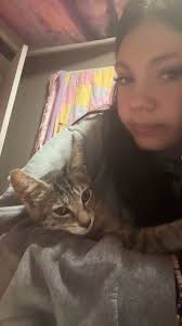 Lost kitten in Brazil Indiana?