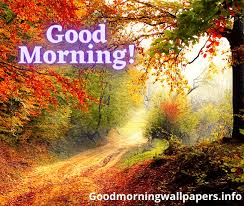 A collection of good morning pictures, images, comments for facebook, whatsapp, instagram and more. Good Morning Pictures 2021 Download Latest Hd Collection