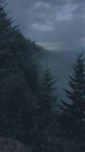 Aesthetic forest hd wallpaper is part of artwork (icons, cursors, wallpapers), which is supported by the following people Grunge Background Tumblr Nature Aesthetic Dark Green Aesthetic Dark Wallpaper