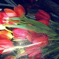 Maybe you would like to learn more about one of these? Modesto Exotic Flowers Modesto Ca