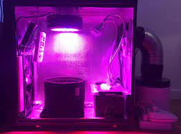 Check spelling or type a new query. Klaser S Easy Ryder Pc Grow Box Journal The Autoflower Network