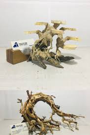 Special Small Size Aquarium Bonsai Driftwood For Wholesale Unit Price Just From 9 Aquarium Driftwood Driftwood For Sale Bonsai