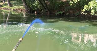The Do's & Don'ts of Copper Sulfate in Ponds / Platinum Ponds ...
