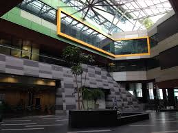 Pengusaha anak pokok sireh puteri / sireh belanda, untuk via spmodels.net. Platinum Sentral Kl Sentral Park