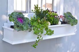 Yes, we carry a white product in plastic window boxes. 20 Best Diy Window Box Ideas How To Make A Window Box