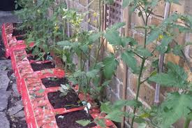 I planted cherry tomato plants in my grow bags. 7 Best Growbags For Tomatoes In 2021 Reviews Buyer S Guide