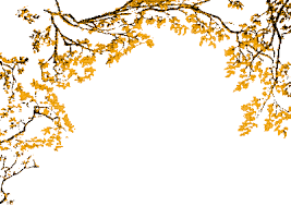 Colorful fall leaves blow in a rectangular animated gif border. Autumn Leaves Border Gif Orange Fall Leaves Pictures Leaf Border Gif