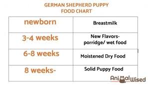 what is the best diet for a german shepherd puppy german