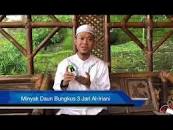 Hasil gambar untuk minyak daun bungkus al iryani