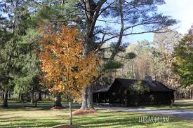 Savoy, mountain state forest is a remote massachusetts state forest located primarily in the towns of savoy and florida, with portions exten. New England Travel Mohawk Trail State Forest Savoy Mountain State Forest