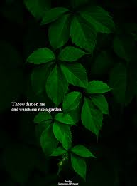Throw Dirt One Me And Watch Me Rise A Garden