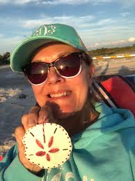 Finding sand dollars at Navarre Beach