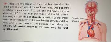 The principal arteries of supply to the head and neck are the two common carotids; Solved Q5 There Are Two Carotid Arteries That Feed Blood Chegg Com