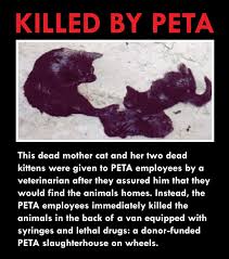 Peta swiftly kills the vast majority of dogs and cats in its care. Killed By Peta Nathan J Winograd