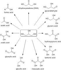 Selective Oxidation Of Glycerol To Formic Acid Catalyzed By Iron Salts Sciencedirect