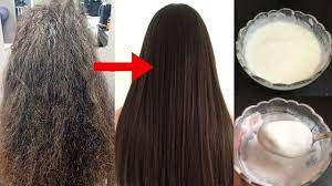 Some of the best moisturizing ingredients to look for in a shampoo for damaged hair include hydrating oils such as coconut, jojoba, and olive. How To Treat Extremely Dry Damaged Hair At Home Best Treatment For F Treat Damaged Hair Dry Frizzy Hair Treatment Hair Treatment Damaged