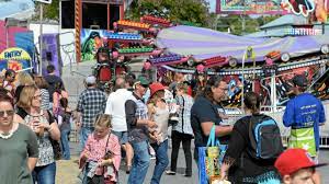 Jun 01, 2021 · the artwork features a rainbow serpent, water lily and green tree frog.(abc capricornia: Rocky Show Prices Plummet The Courier Mail