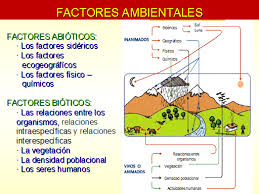 Diferencias Entre Factores Bioticos Y Abioticos Cuadros Comparativos E Infografias Cuadros Com En 2020 Factores Bioticos Y Abioticos Factores Lectura De Comprension