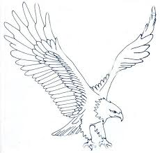 Eagle Sketches Class Of 1978 Carson Graham Cizim Cizimler Kus Cizimleri