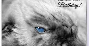 Images Of Happy Birthday To A Cat Lover Google Search Cat With Blue Eyes Pet Sitters Cat Birthday Card