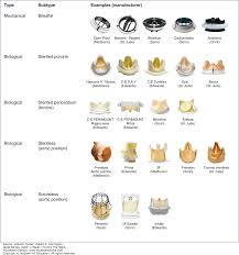 Prosthetic Heart Valves Hursts The Heart 14e