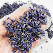 We also grow an extensive range of hardy herbaceous perennials, ferns, shrubs and climbers, clematis, hydrangea and lavender plants being. Wholesale Organic Fragrant Lavender Buds Dried Flowers Buy Wholesale Organic Fragrant Lavender Buds Dried Flowers Lavender Lavender Flowers Product On Alibaba Com