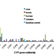 Check out our camel horse selection for the very best in unique or custom, handmade pieces from our shops. Pdf Diversity And Distribution Of Cyp Gene Family In Bactrian Camel