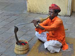 Image result for snake charming indian
